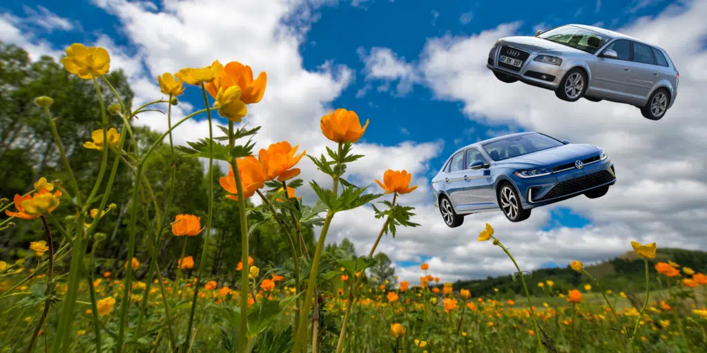 Spring Care Reflex Tuning