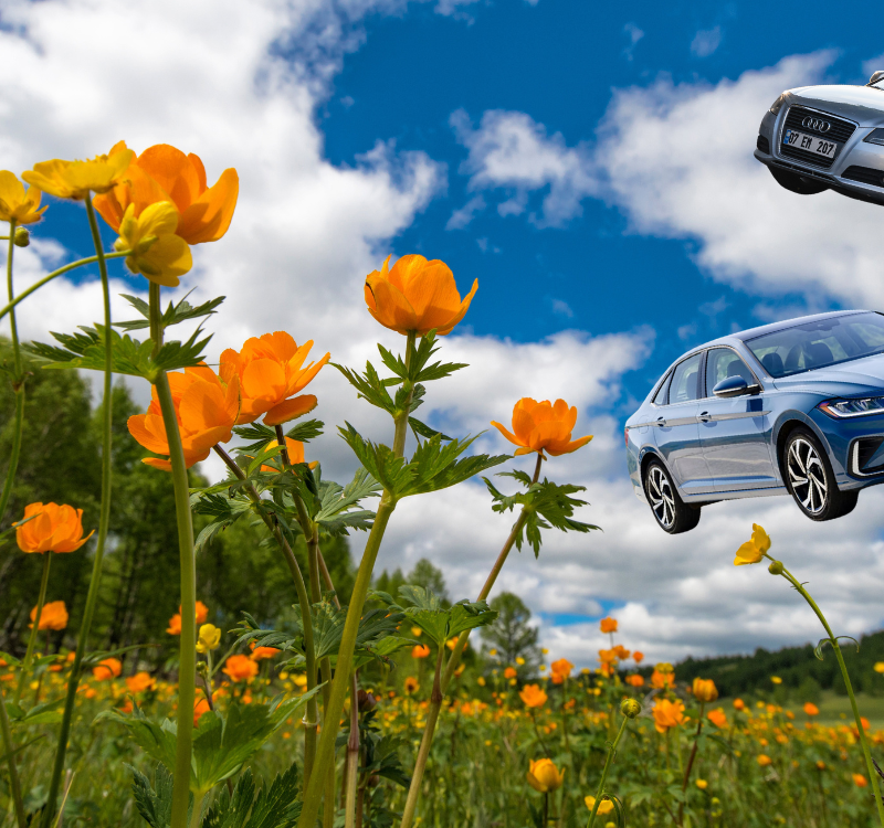 Spring Care Reflex Tuning