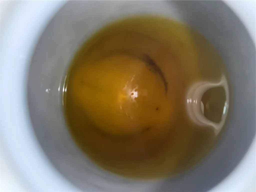 Audi VW Service A close-up view from above of a yellow lemon submerged in a cup of tea or hot water, with the cups white rim clearly visible around the edge. Reflex Tuning, Hookett NH